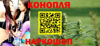гашик Краснодар
