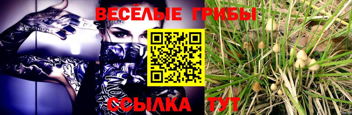 Кольчугино  Галлюциногенные грибы Psilocybine cubensis  Галлюциногенные грибы мицелий  Вход с VPN 